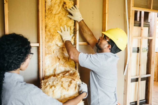 Best Local Insulation Services  in Beverly Hills, TX